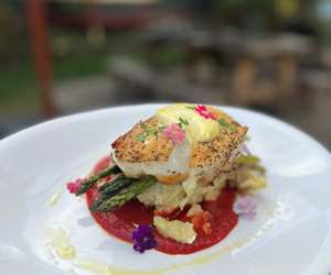 Chefs Catch: Halibut